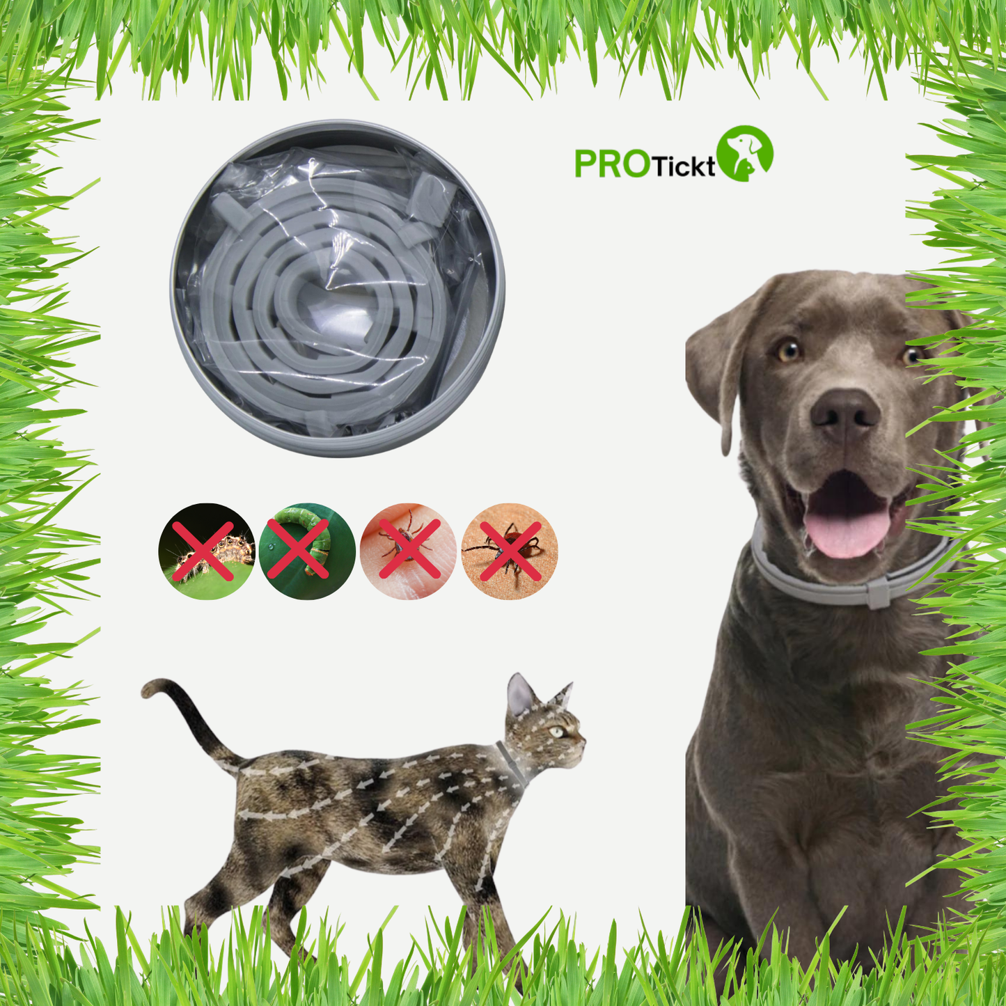 Protickt ''  Guard Flea and Tick Pet Collar