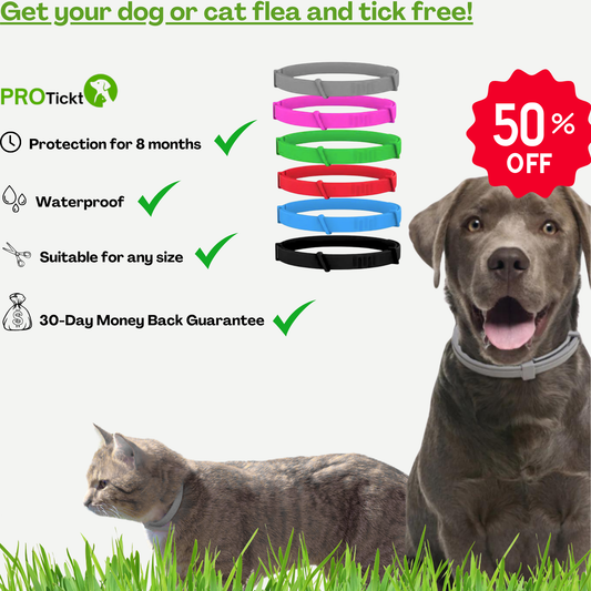 Protickt ''  Guard Flea and Tick Pet Collar